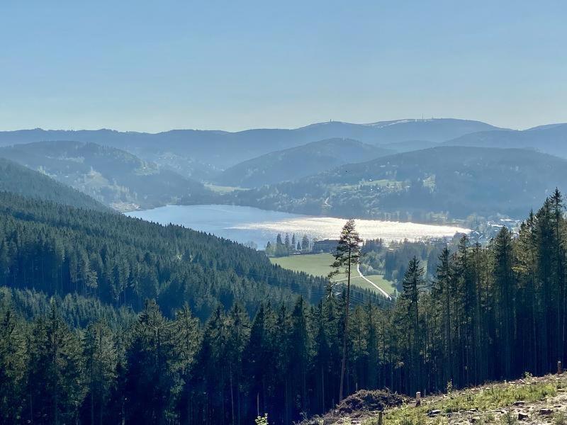 Hotel Zartenbach Hinterzarten Luaran gambar
