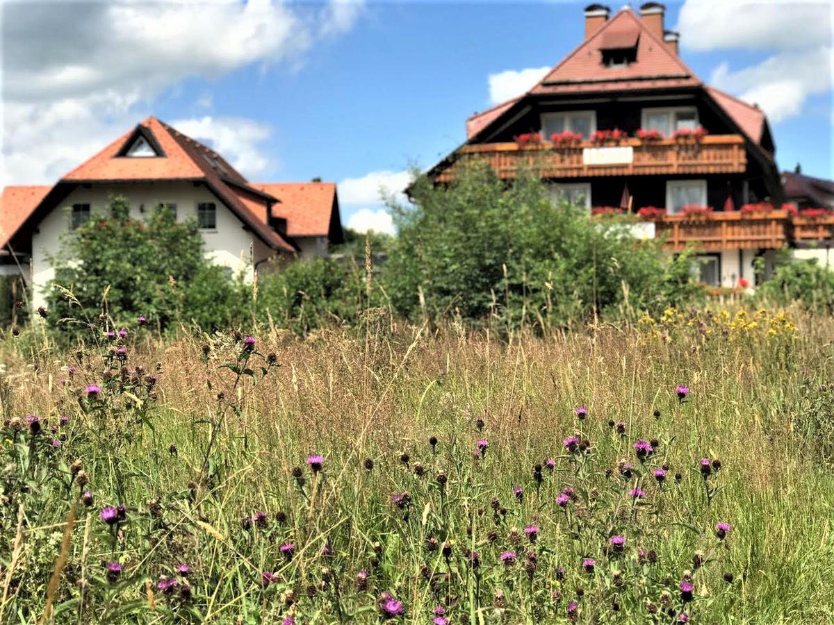Hotel Zartenbach Hinterzarten Luaran gambar